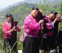 Huangluo Yao Longhair Village